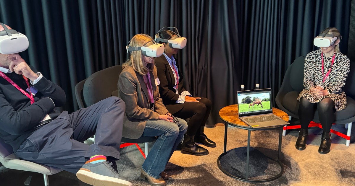 Fair Show Box VR for Recruitment Fairs and Jobs Fairs | JobBox™